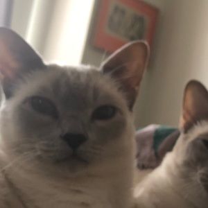 Meet your Posher, Dani